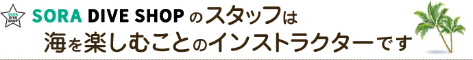 海を楽しむことのインストラクターです